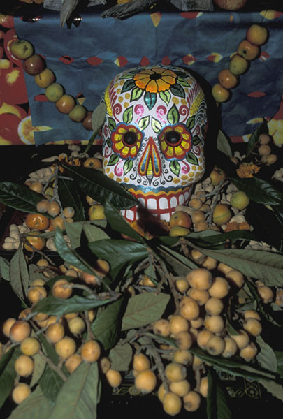 day of dead skull. the Days of the Dead.