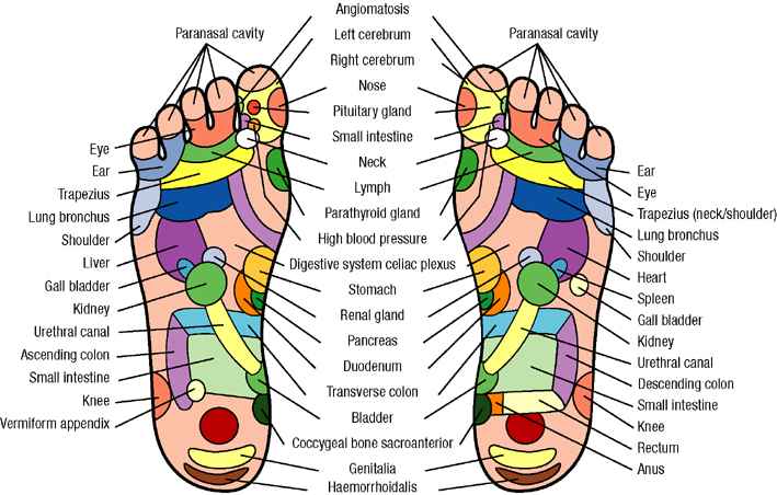 foot reflexology points